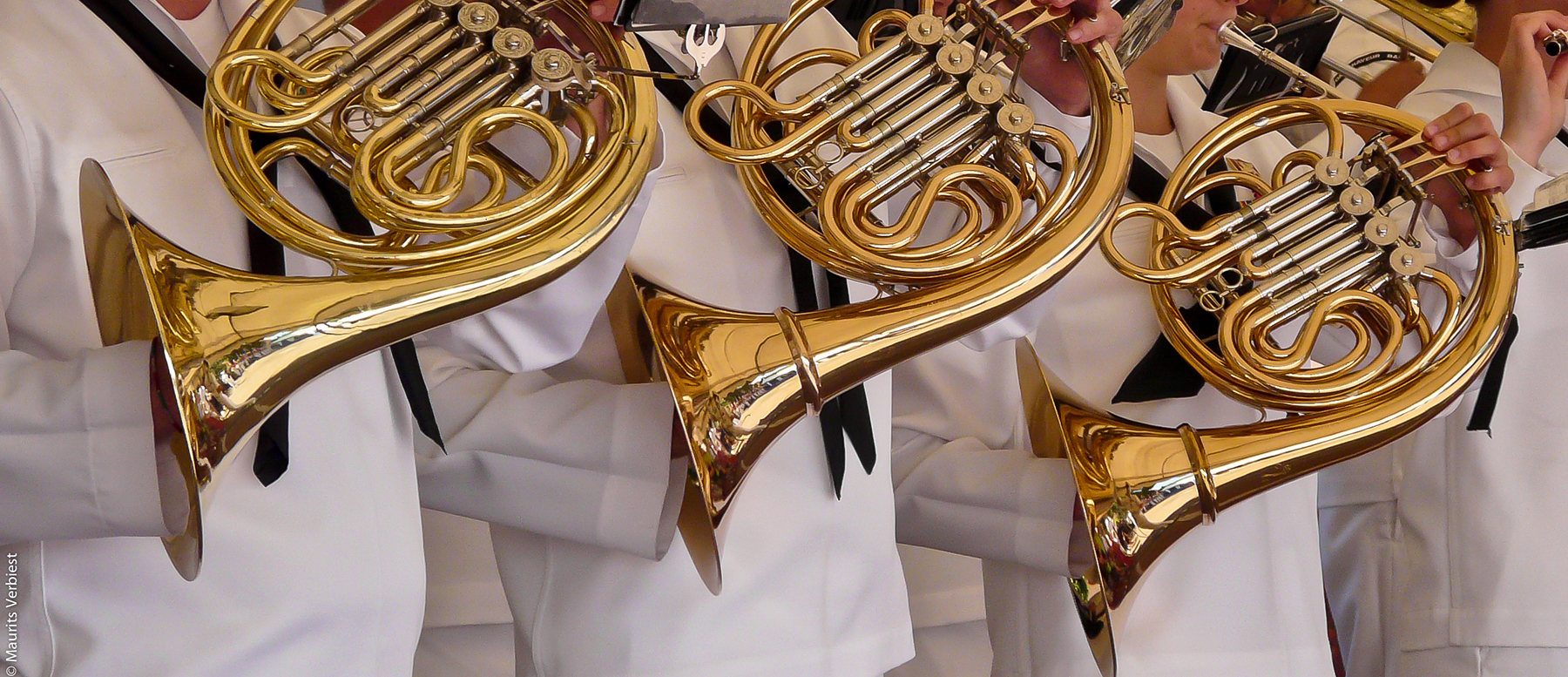 The Brass Instrument Family: French Horns, Trombones, Low Brass